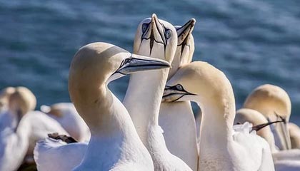 九游体育官网入口-西甲战斗激烈，球员反馈赛后感受，西甲战果