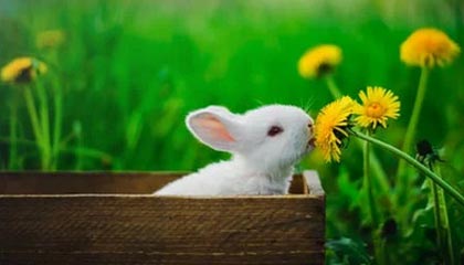 九游体育官网入口-西甲战斗激烈，球员反馈赛后感受，西甲战果